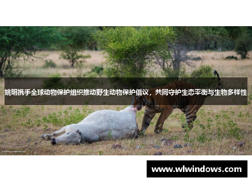 姚明携手全球动物保护组织推动野生动物保护倡议，共同守护生态平衡与生物多样性