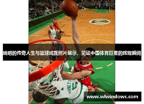 姚明的传奇人生与篮球成就照片展示，见证中国体育巨星的辉煌瞬间
